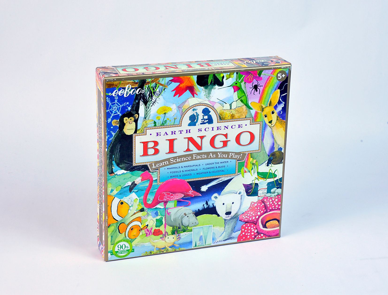 120317-SPC-bingo.jpg